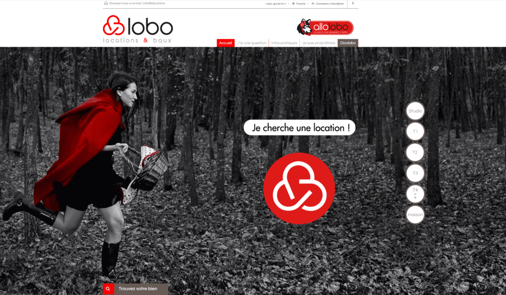Lobo site web Graphitéine à Limoges